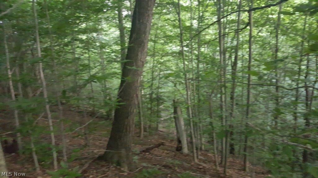 Carla Y Anderson Debra Wills B - Land