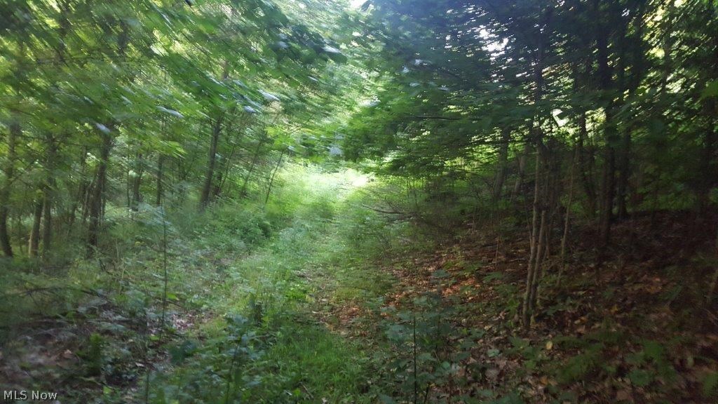 Carla Y Anderson Debra Wills B - Land