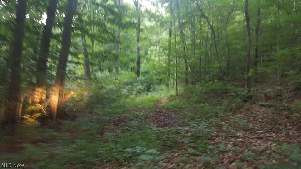 Carla Y Anderson Debra Wills B - Land