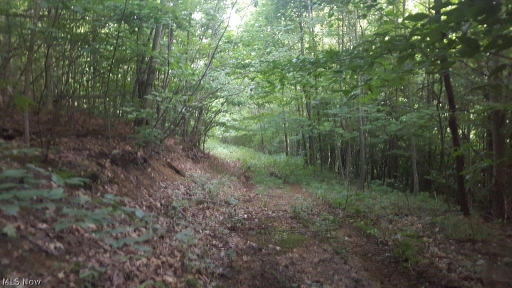 Carla Y Anderson Debra Wills B - Land