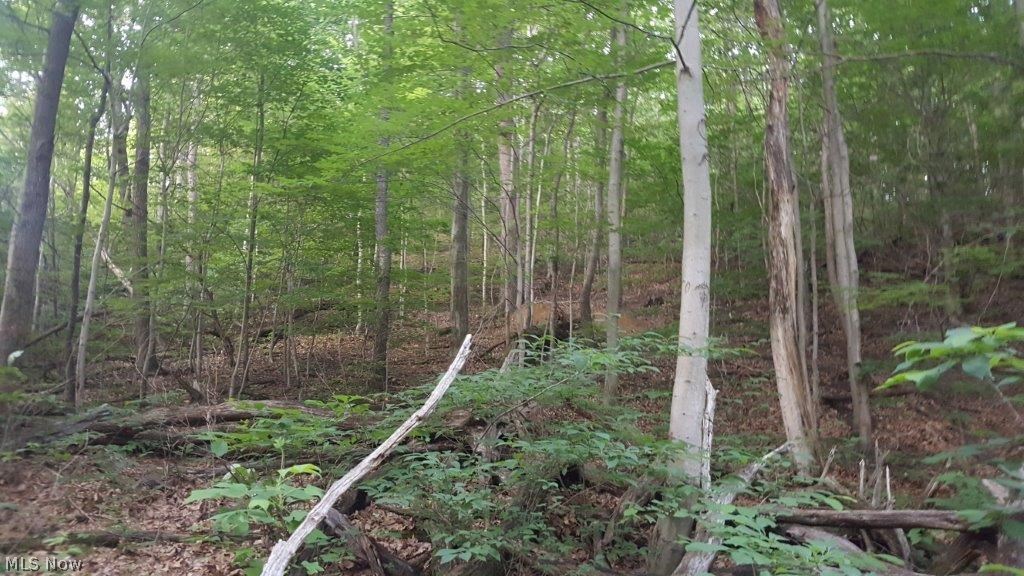 Carla Y Anderson Debra Wills B - Land