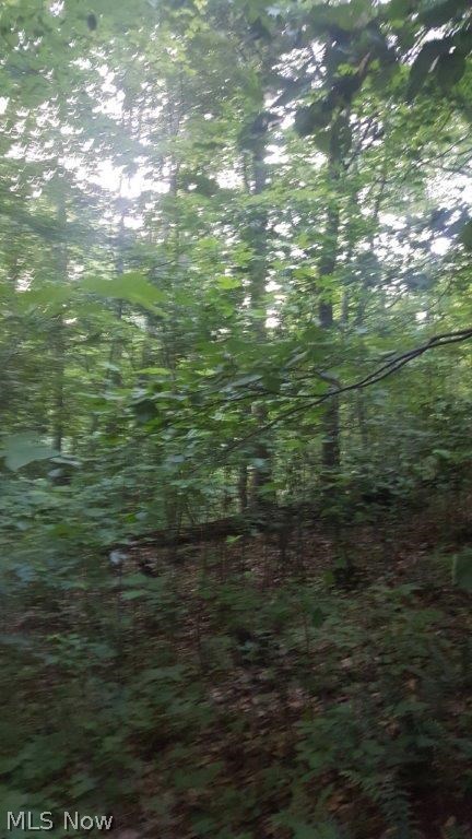 Carla Y Anderson Debra Wills B - Land