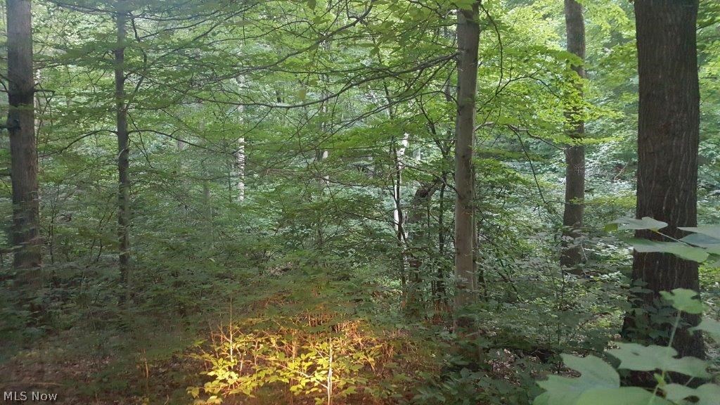 Carla Y Anderson Debra Wills B - Land