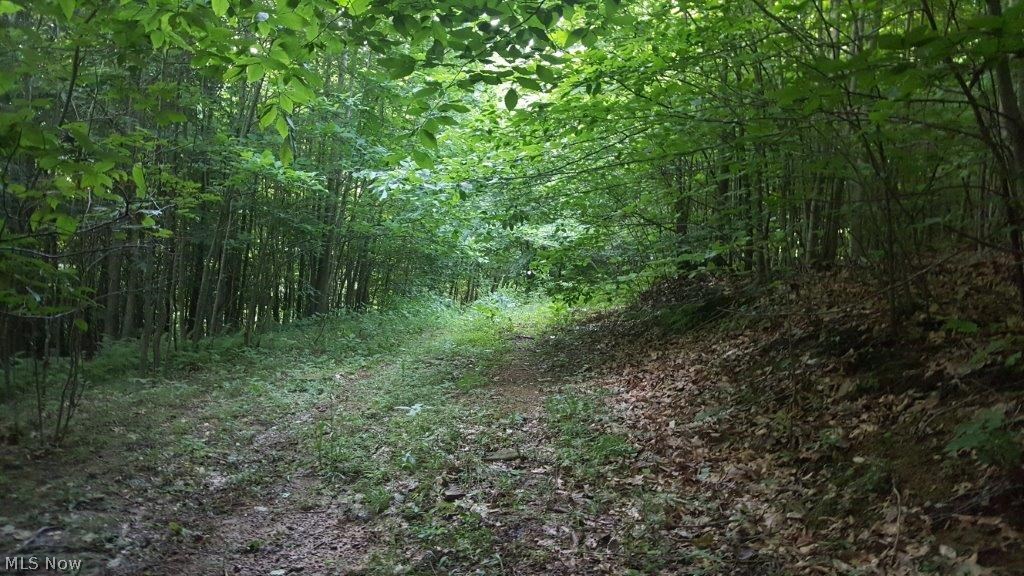 Carla Y Anderson Debra Wills B - Land