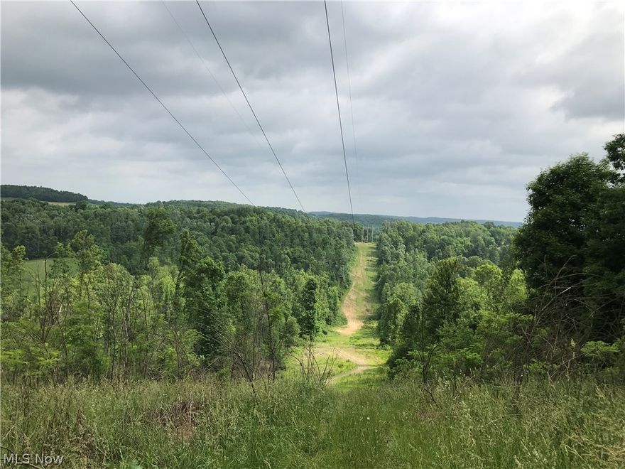 45+ acres of beautiful recreational land. Includes a small cabin and a hunting blind. Mineral rights transfer. See MLS#4200133 for adjoining parcel.