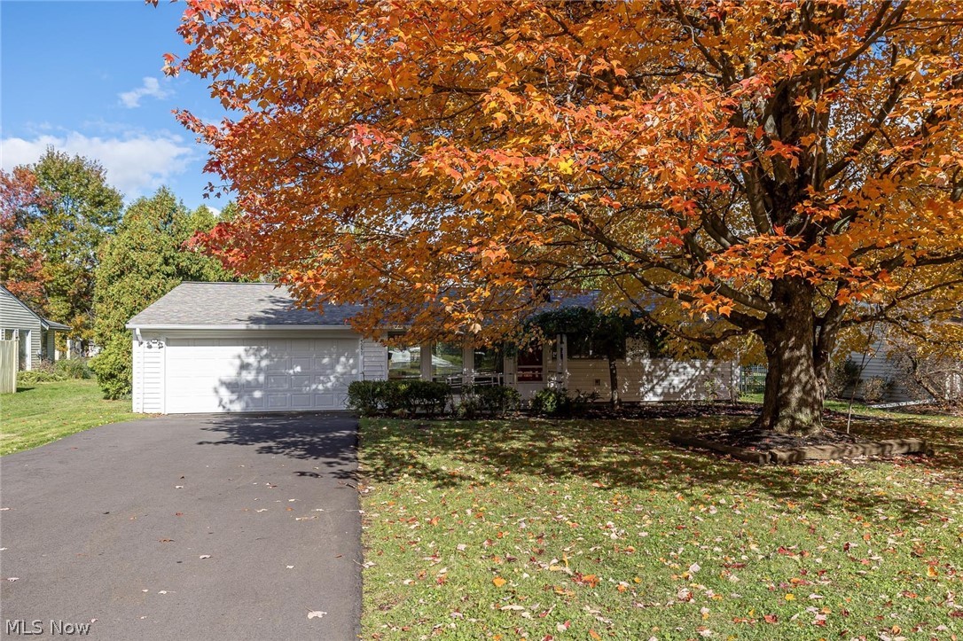 Richmond Park - Residential