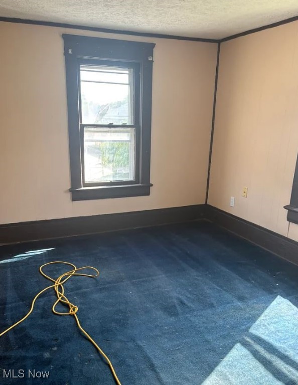 Steiner & Cos Allotment - Residential