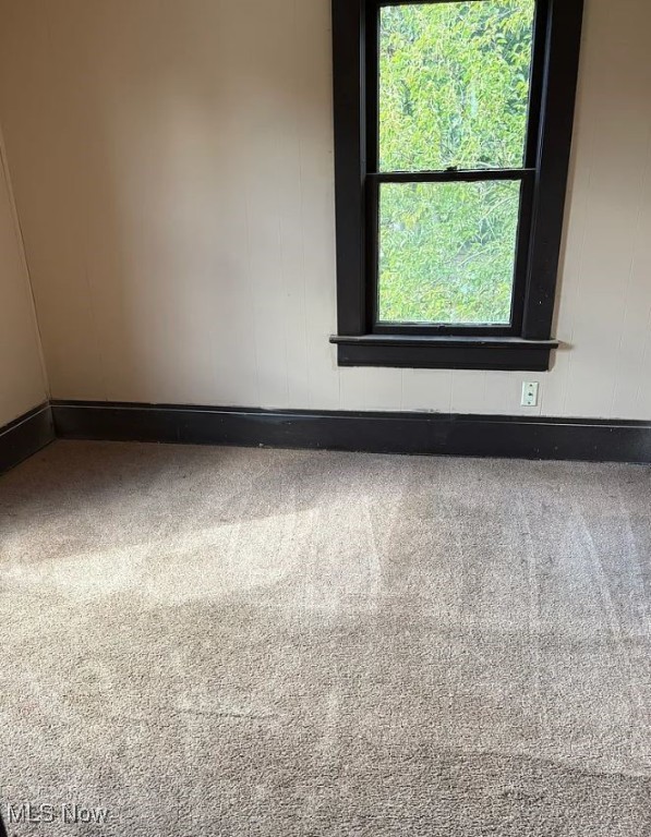 Steiner & Cos Allotment - Residential