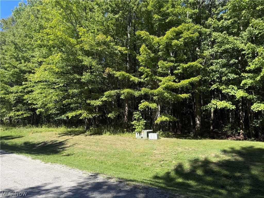 Shirley Drive