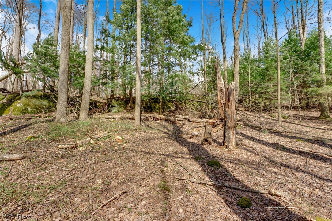 Tract 3 - Residential