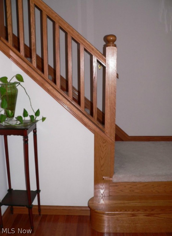 Dorchester Meadows - Residential