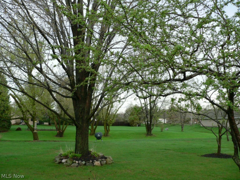 Dorchester Meadows - Residential