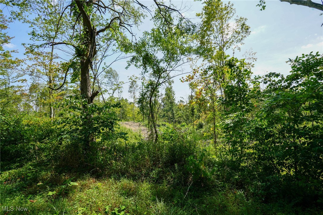 Gallia Blackfork Rd, Oak Hill, Ohio image 16