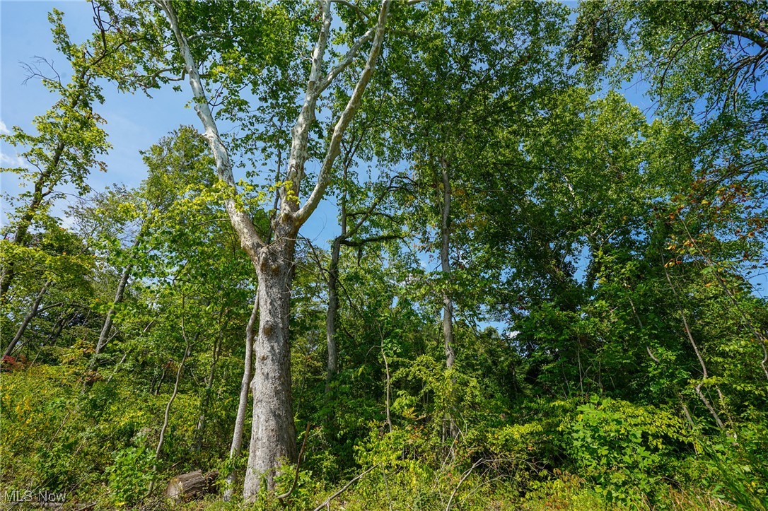 Gallia Blackfork Rd, Oak Hill, Ohio image 2