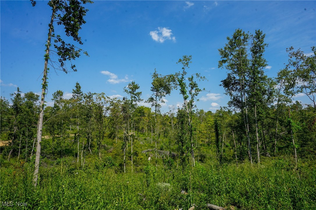 Gallia Blackfork Rd, Oak Hill, Ohio image 1