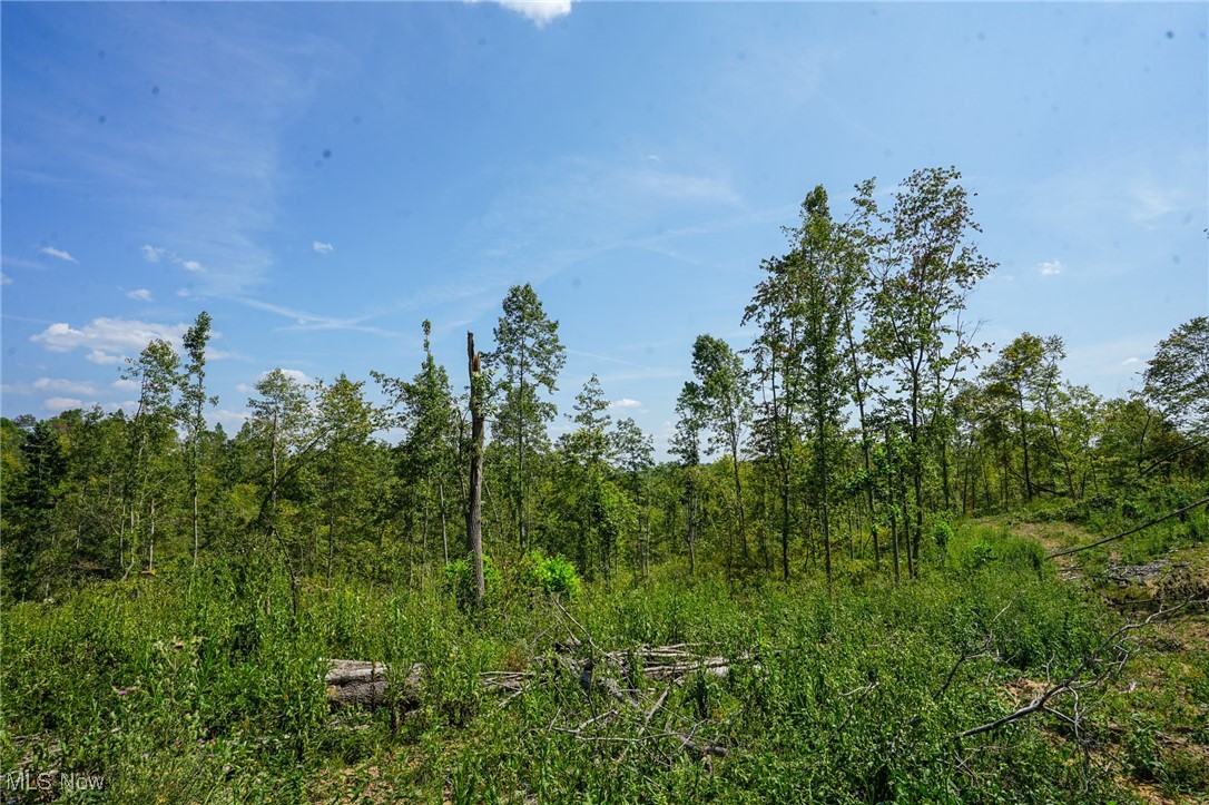 Gallia Blackfork Rd, Oak Hill, Ohio image 14