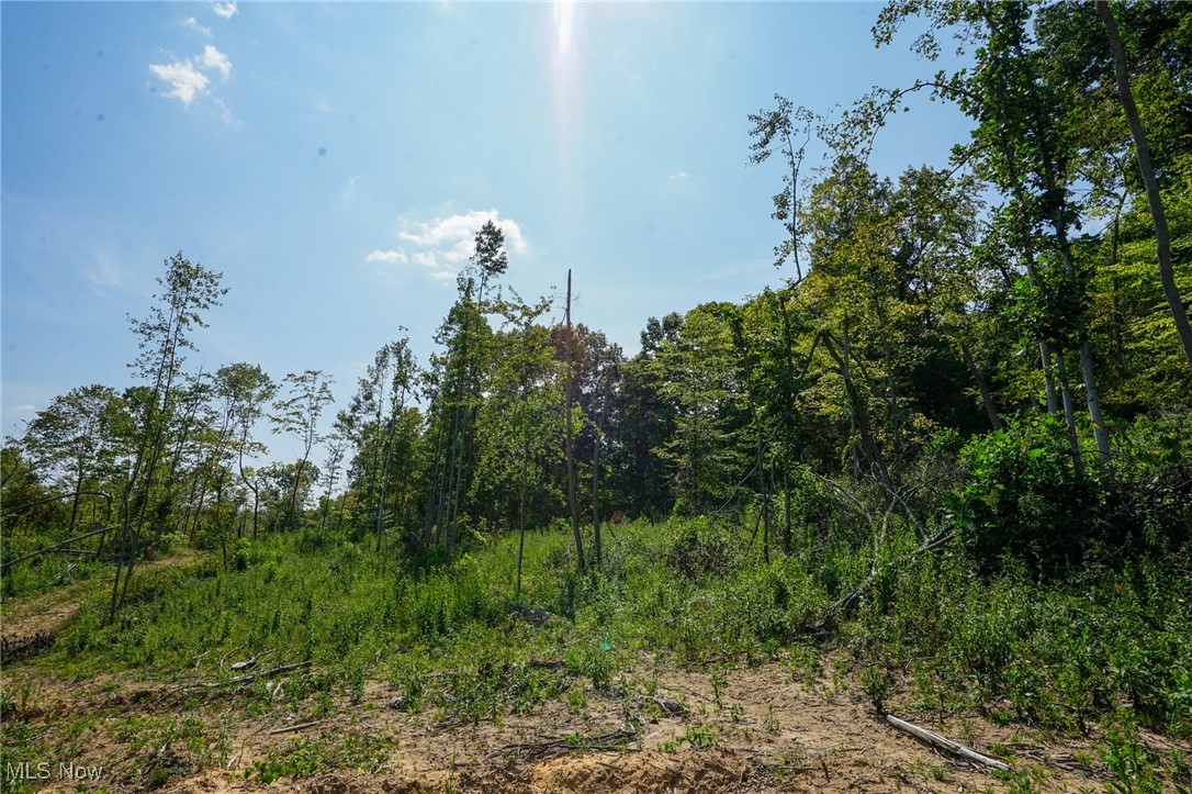 Gallia Blackfork Rd, Oak Hill, Ohio image 13