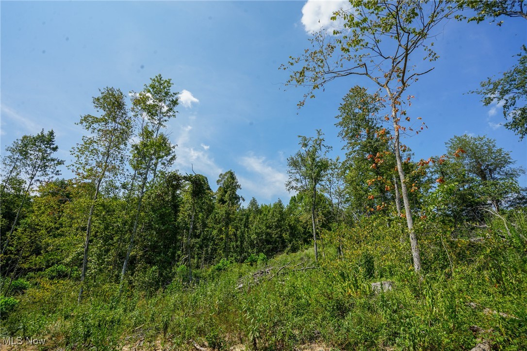 Gallia Blackfork Rd, Oak Hill, Ohio image 8