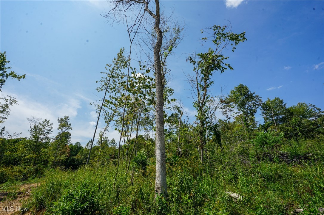 Gallia Blackfork Rd, Oak Hill, Ohio image 6