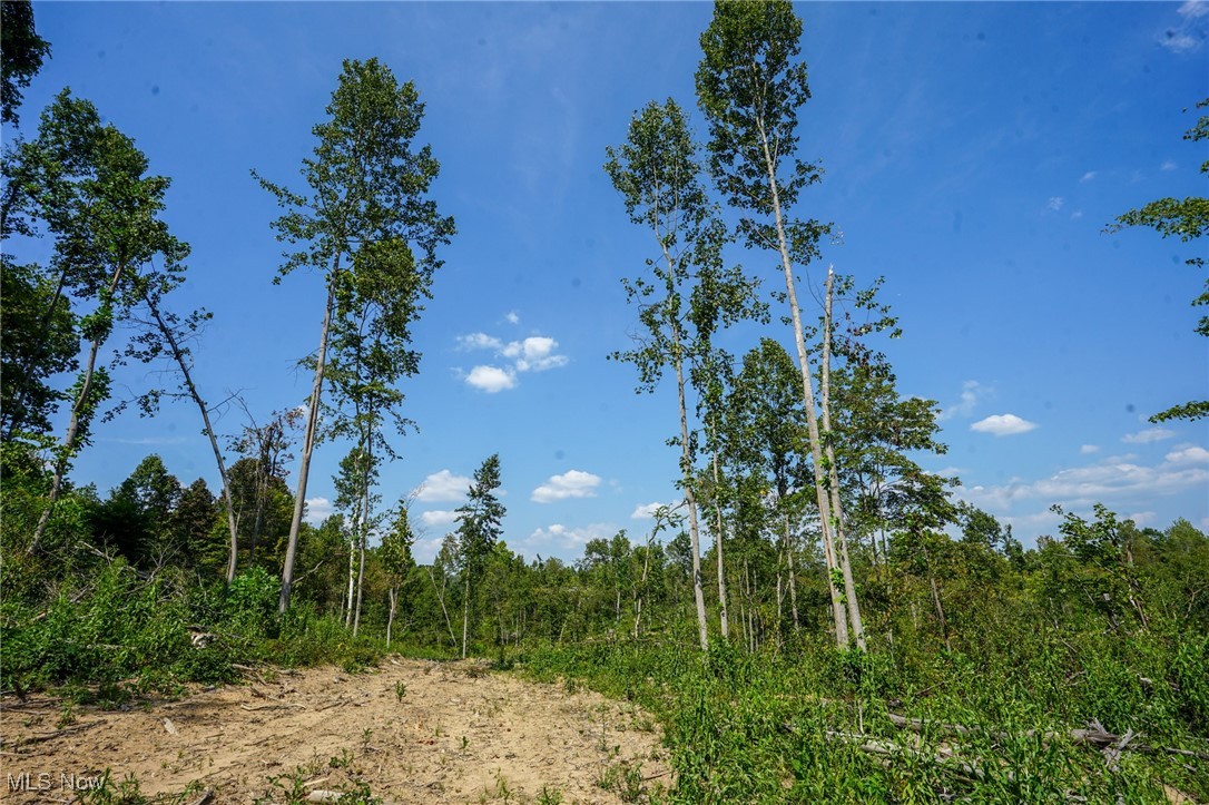 Gallia Blackfork Rd, Oak Hill, Ohio image 15