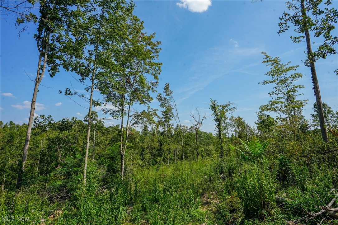 Gallia Blackfork Rd, Oak Hill, Ohio image 12