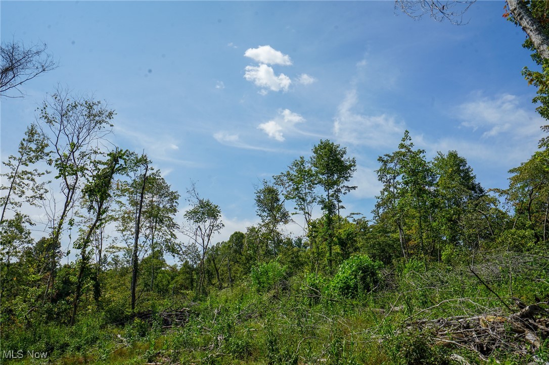 Gallia Blackfork Rd, Oak Hill, Ohio image 4