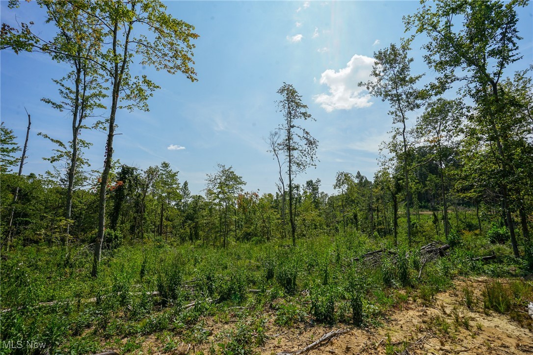 Gallia Blackfork Rd, Oak Hill, Ohio image 7