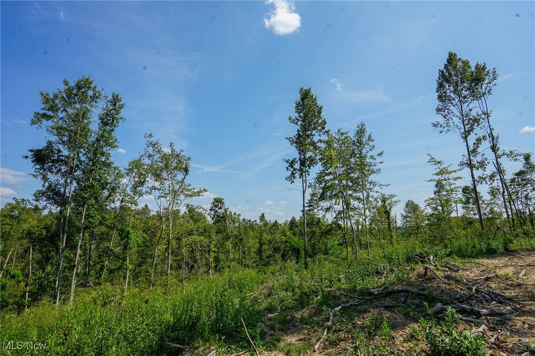 Gallia Blackfork Rd, Oak Hill, Ohio image 11
