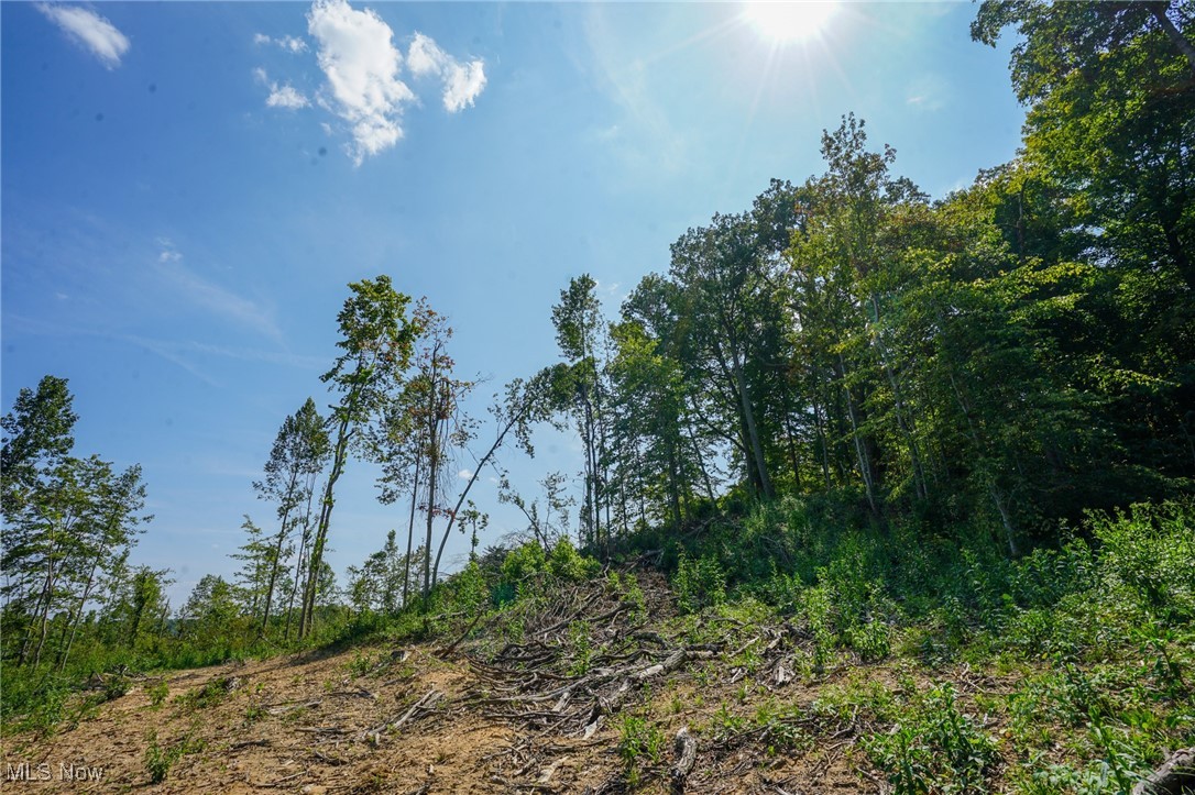 Gallia Blackfork Rd, Oak Hill, Ohio image 10