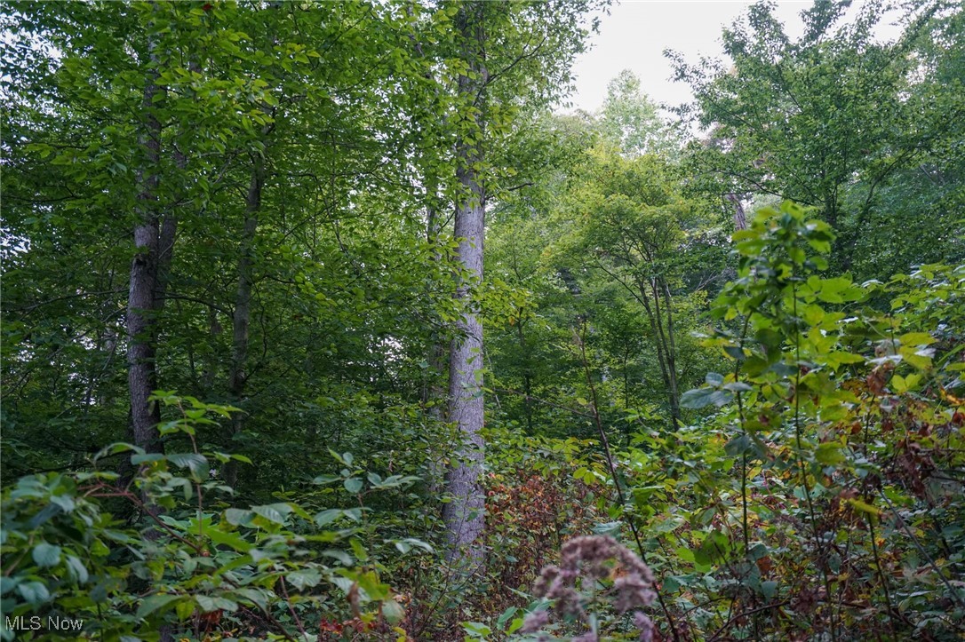 Gallia Blackfork Rd, Oak Hill, Ohio image 17