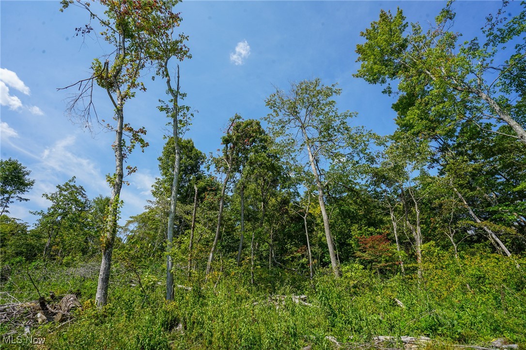 Gallia Blackfork Rd, Oak Hill, Ohio image 3