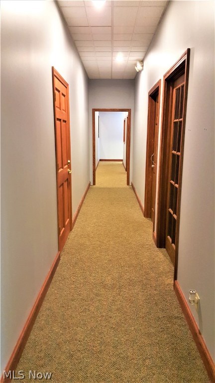 Sweetbriar Allotment - Commercial Lease