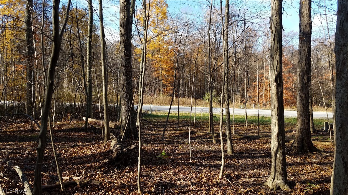 Coldwater Reserve Sub - Land