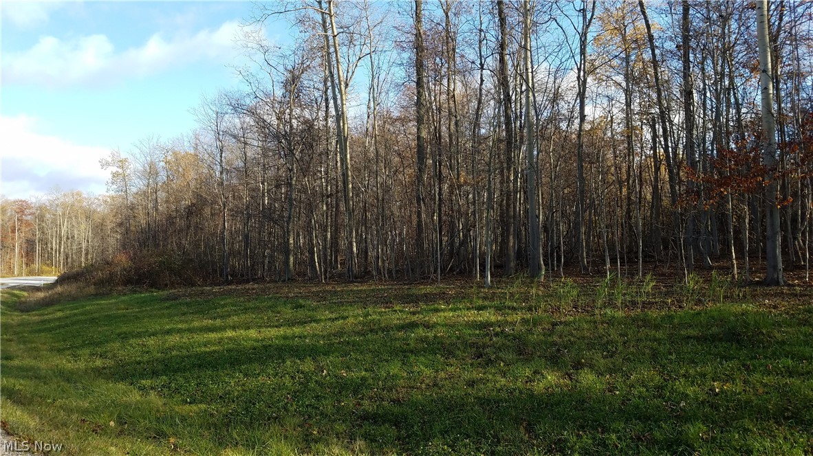 Coldwater Reserve Sub - Land