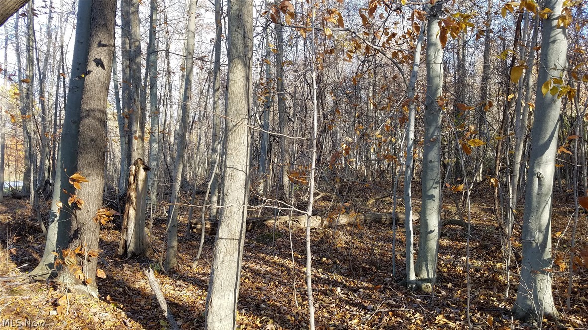 Coldwater Reserve Sub - Land