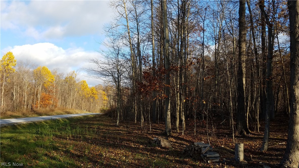 Coldwater Reserve Sub - Land