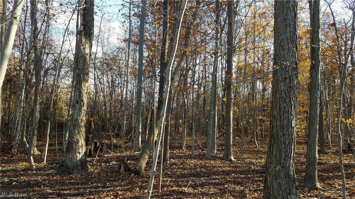 Coldwater Reserve Sub - Land