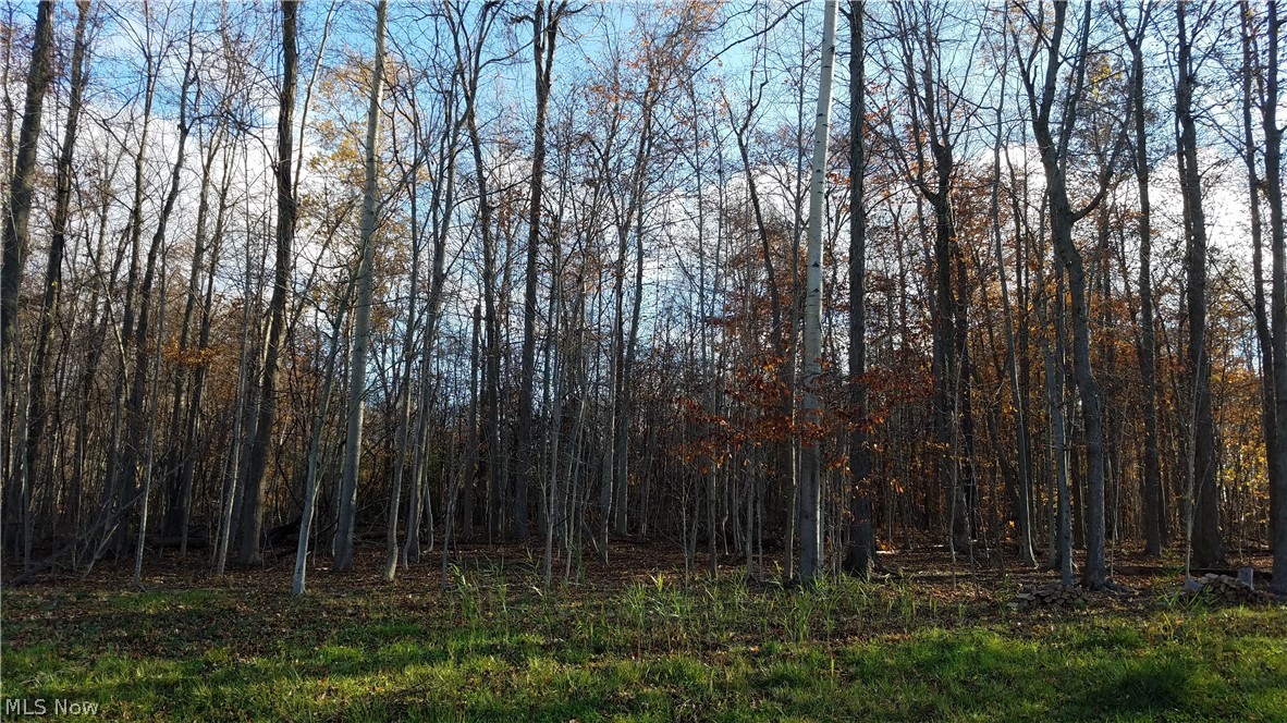 Coldwater Reserve Sub - Land