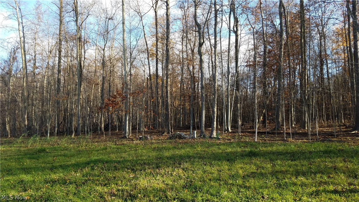 Coldwater Reserve Sub - Land