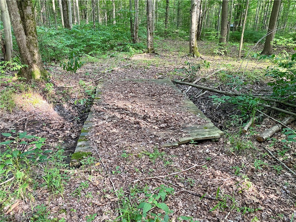 Connecticut Western Reserve - Land