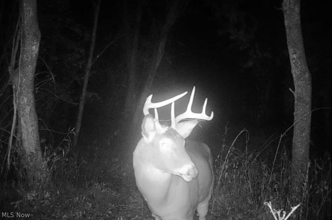 Connecticut Western Reserve - Land