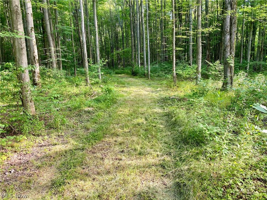 Connecticut Western Reserve - Land