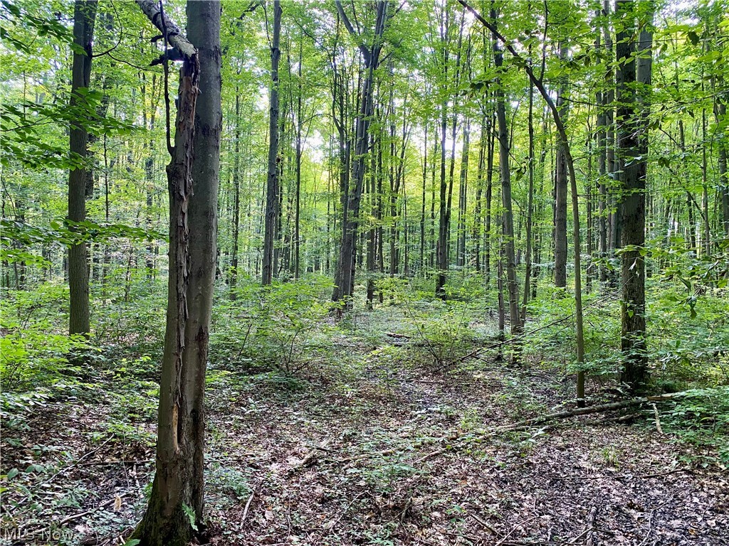 Connecticut Western Reserve - Land