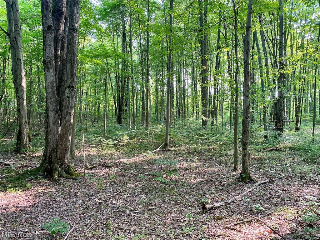 Connecticut Western Reserve - Land