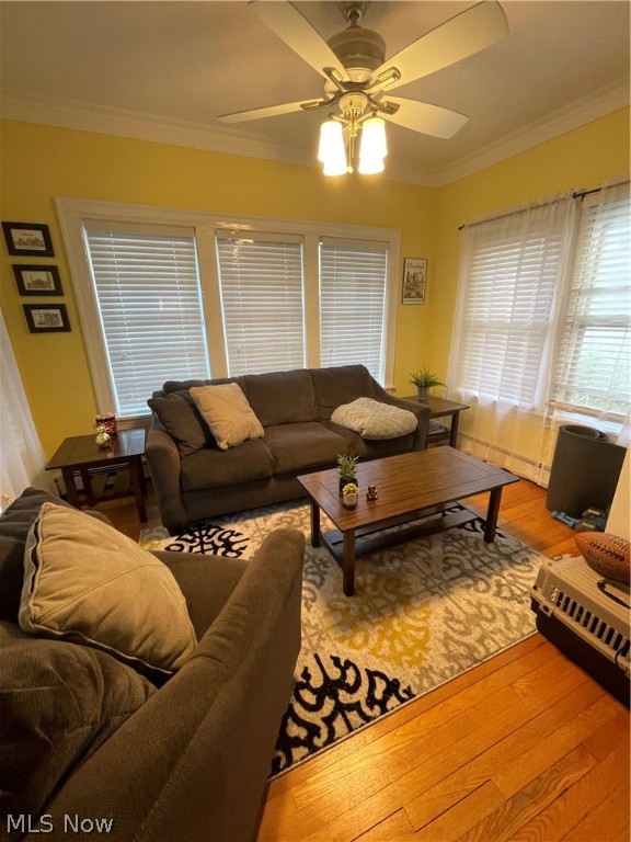 Hazel Ave - Residential