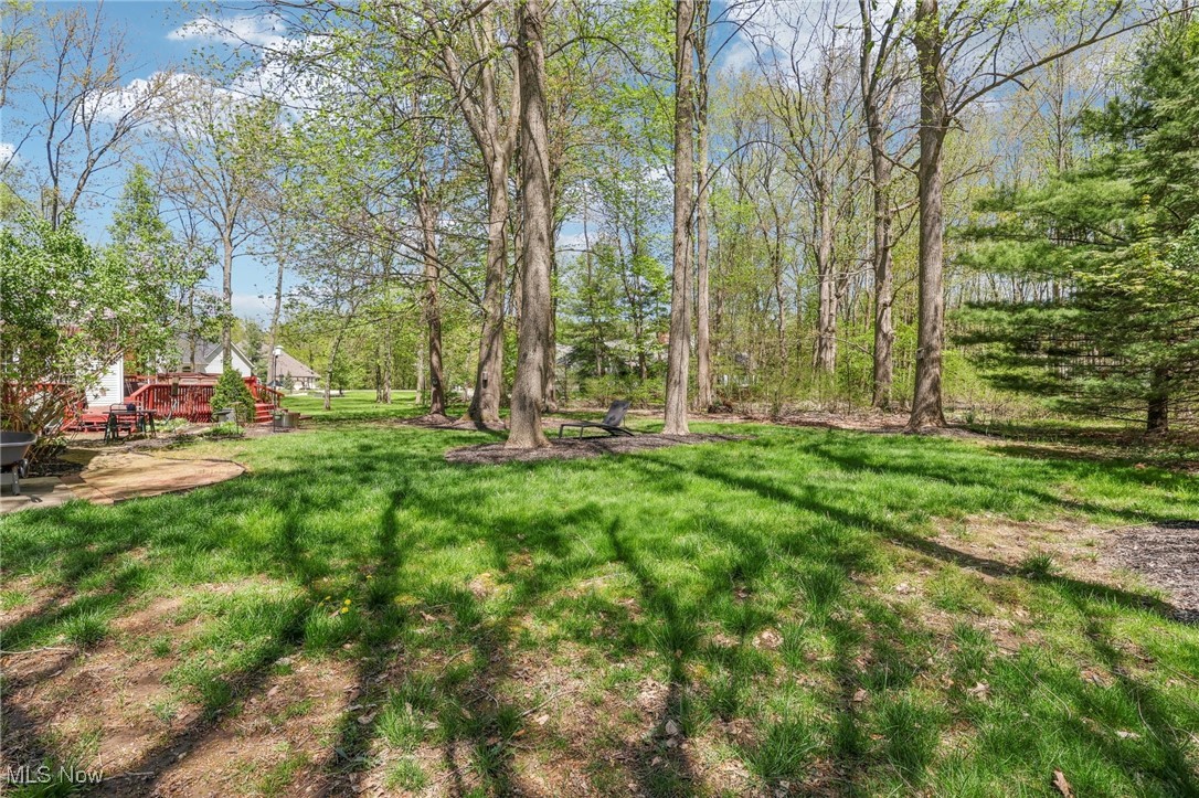 6307 Paderborne Drive, Hudson, Ohio image 46