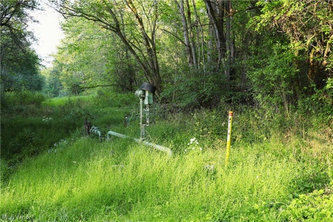 Tiny photo for Groves Hill RD, Caldwell, OH 43724 (MLS # 5245514)