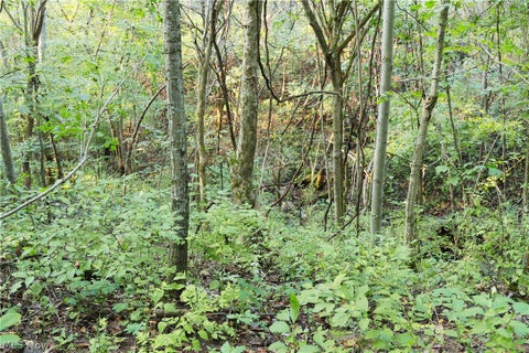 Tiny photo for Groves Hill RD, Caldwell, OH 43724 (MLS # 5245514)