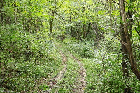 Tiny photo for Groves Hill RD, Caldwell, OH 43724 (MLS # 5245514)