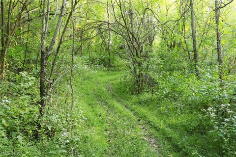 Tiny photo for Groves Hill RD, Caldwell, OH 43724 (MLS # 5245514)